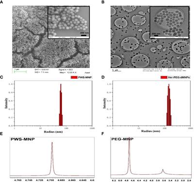 Multimodal Imaging Technology Effectively Monitors HER2 Expression in Tumors Using Trastuzumab-Coupled Organic Nanoparticles in Patient-Derived Xenograft Mice Models
